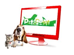 PetsPoint – Все домашних животных