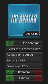 DS вид.png