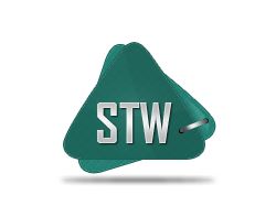 Значек команды sTw