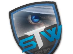 Офицальный логотип команды sTw