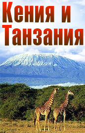 Баннер Кения и Танзания.jpg