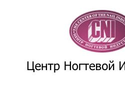 Продвижение cni-moscow.ru