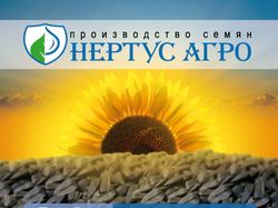 Рекламный блок в журнал