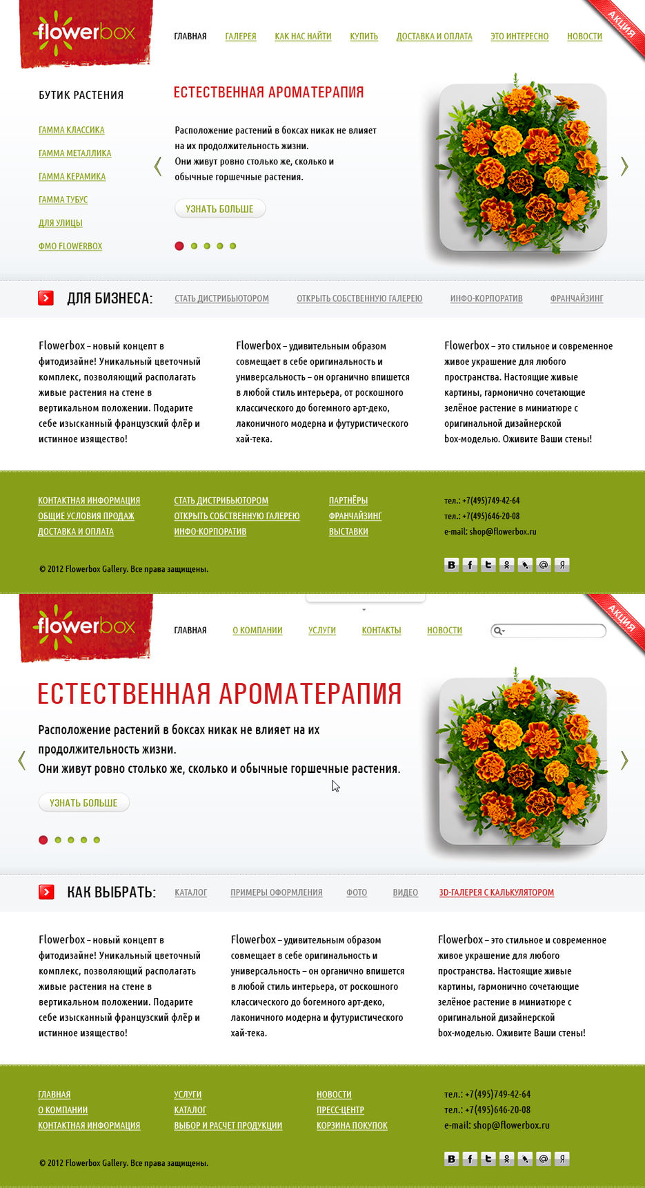Редизайн сайта flowerbox (в двух компоновках).jpg
