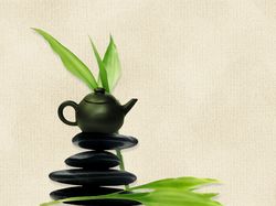 Лого для чайного интернет-магазина