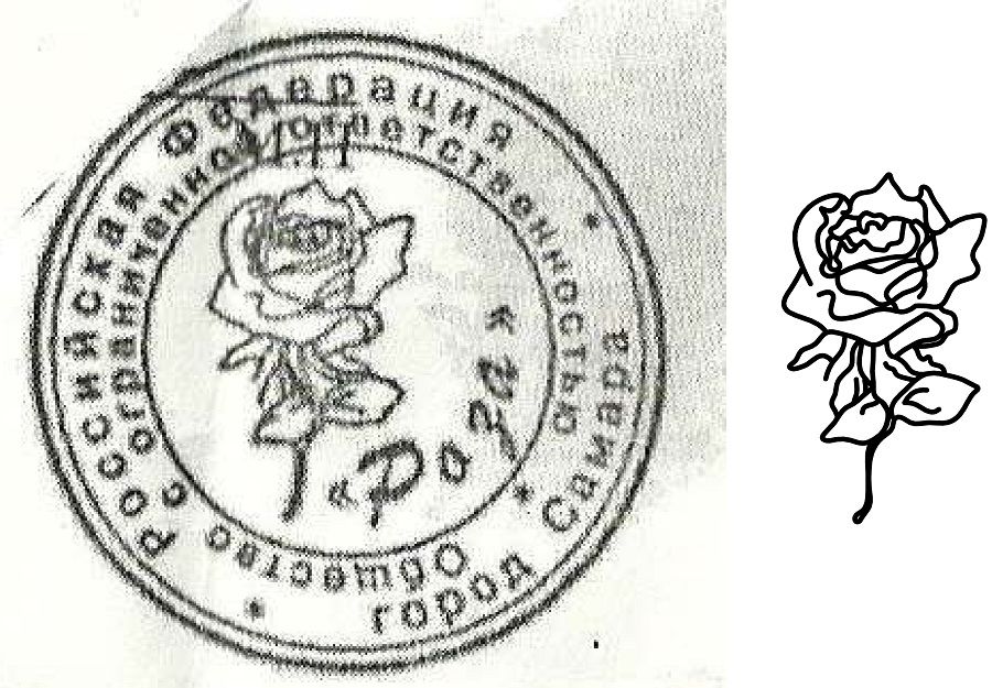 Отрисовка розы в вектор.jpg