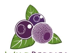 Конкурсный логотип для Wildberries