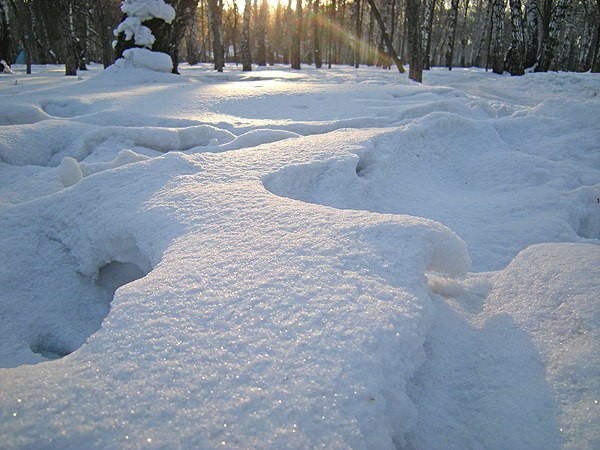 По тропинкам Березовой рощи-2.jpg