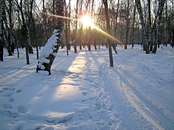 По тропинкам Березовой рощи-3.jpg