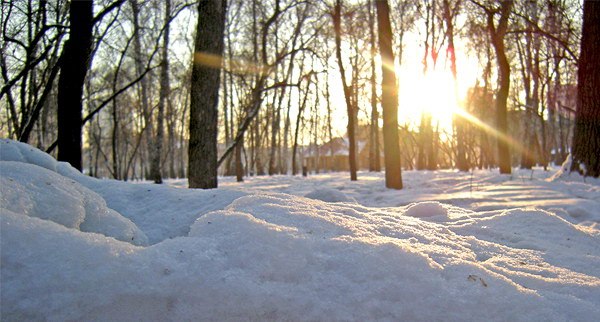 По тропинкам Березовой рощи-4.jpg