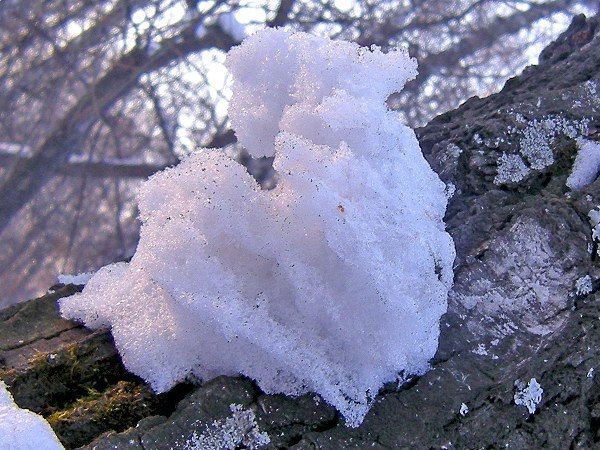 По тропинкам Березовой рощи-7.jpg