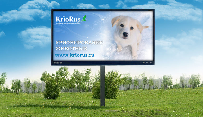 КриоРус.jpg