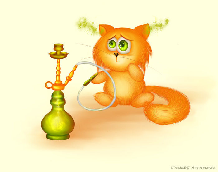 Кот с кальяном. Котенок и кальян. Кальян кот. Коты курят кальян. Коты курят кальян.