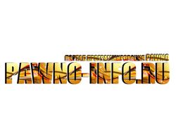 Pawno-info