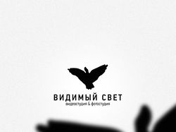 Видеостудия & Фотостудия "Видимый свет"