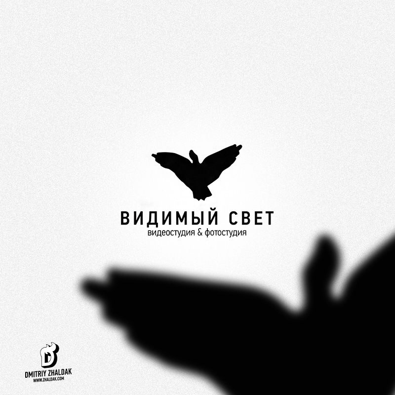 Видеостудия & Фотостудия "Видимый свет".jpg