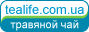 Баннер.jpg