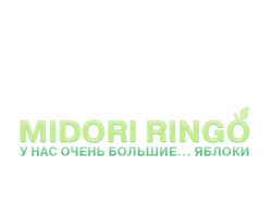 Команда переводчиков Midori Ringo