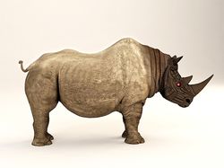 3d носорог для рекламы шин кама