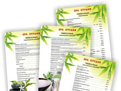 Прайс спа студии