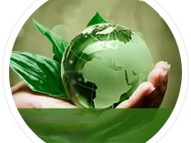 Анимация для сайта