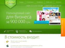 Сайт компании Lime Solutions