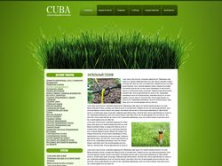 Дизайн сайта CUBA